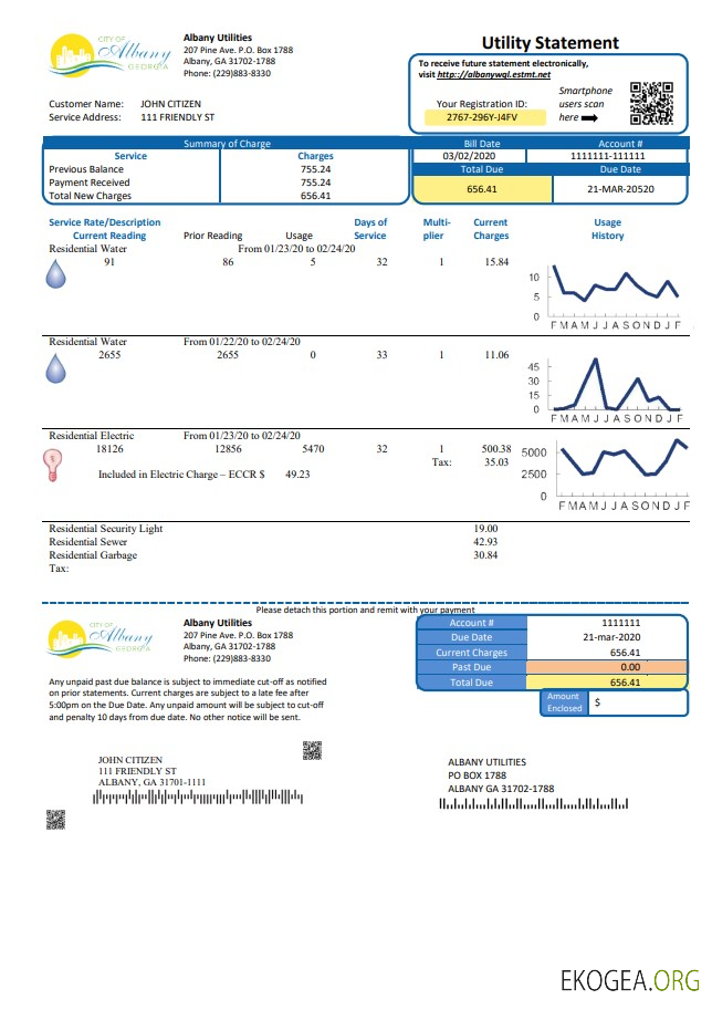 USA Georgia City of Albany water and electricity utility bill template in Word and PDF format